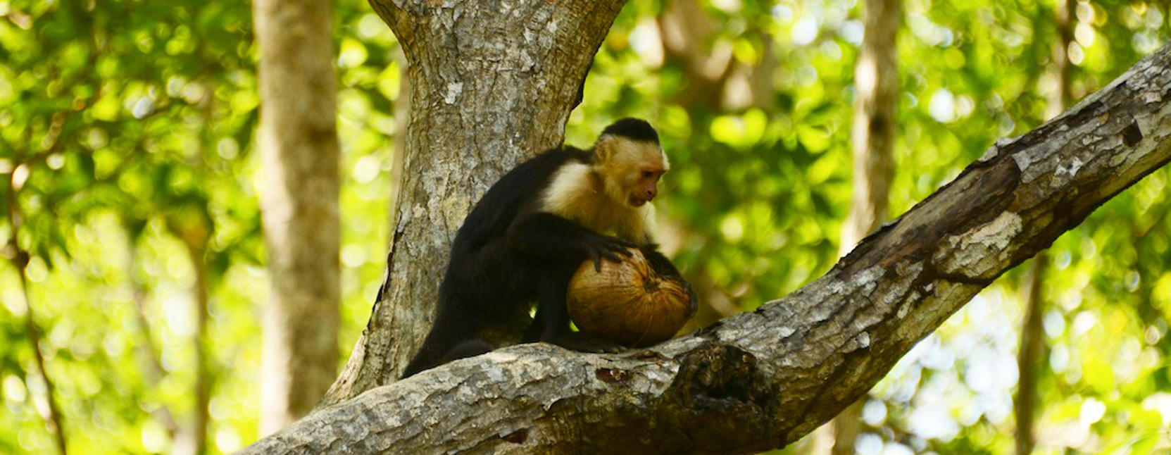 About Palmas Pacífica community