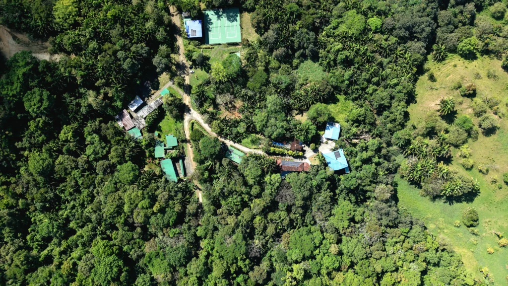 Manuel Antonio Estates 77 - Image 1