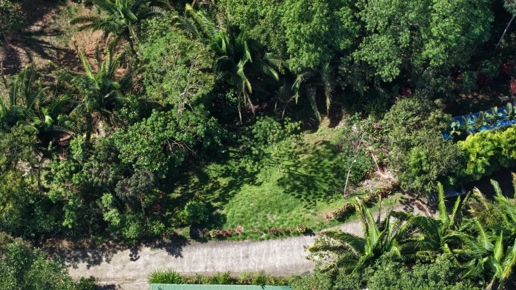 Lot 8 – South Pacific Ocean views - Image 5