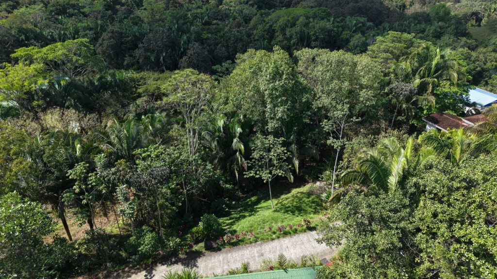 Lot 8 – South Pacific Ocean views - Image 6
