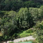 Lot 8 – South Pacific Ocean views - Image 6