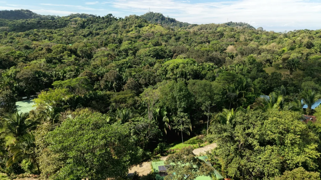 Lot 8 – South Pacific Ocean views - Image 7