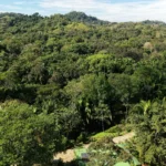 Lot 8 – South Pacific Ocean views - Image 7