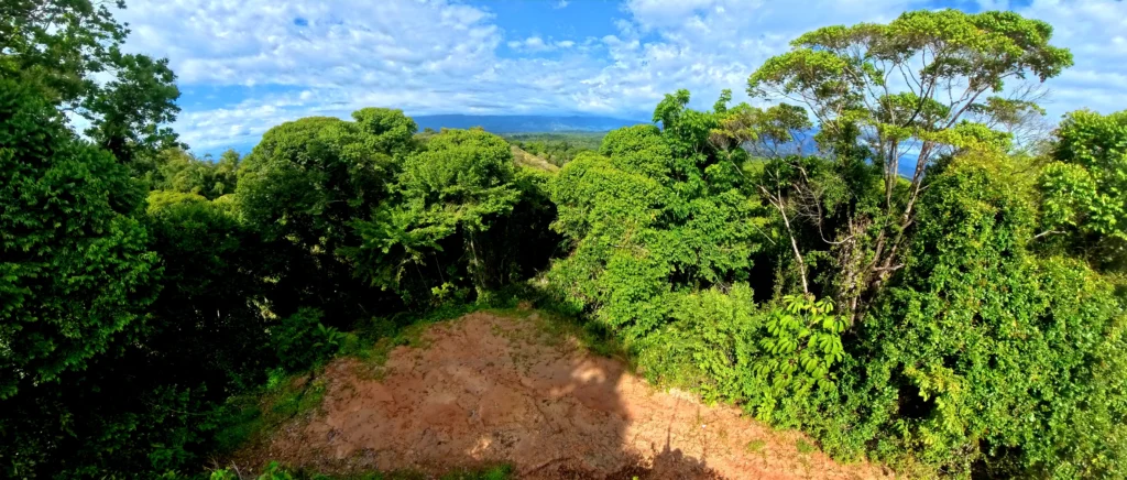 Manuel Antonio Estates 12 - Image 3