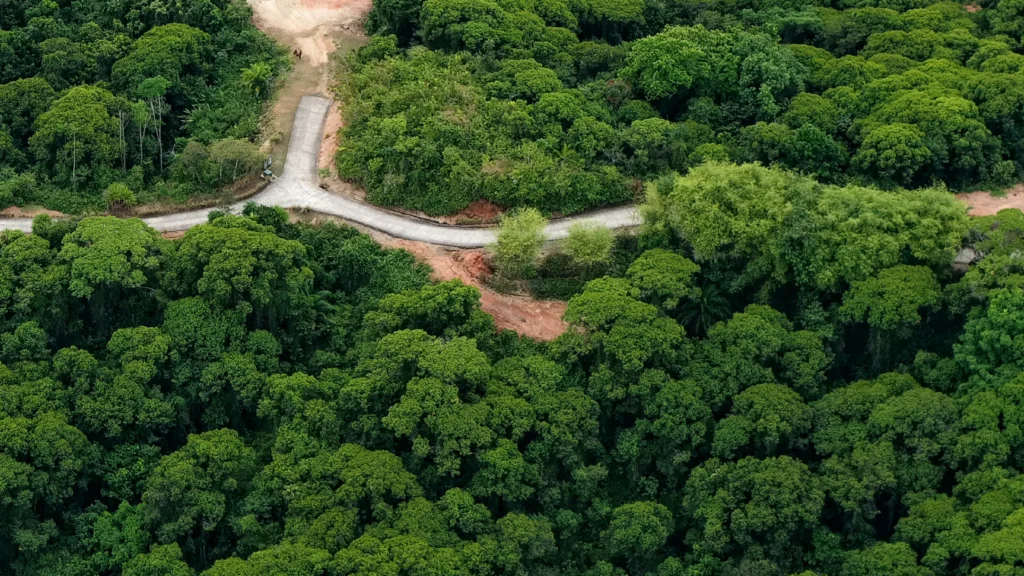 Manuel Antonio Estates 14 - Image 10