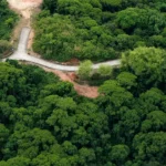 Manuel Antonio Estates 14 - Image 10