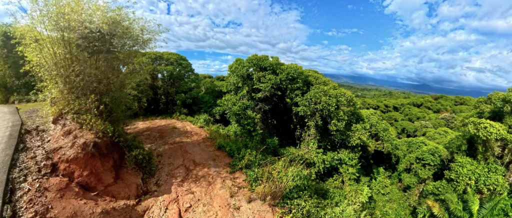 Manuel Antonio Estates 14 - Image 3