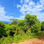 Manuel Antonio Estates 14 - Image 4