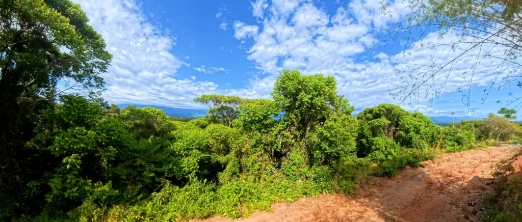 Manuel Antonio Estates 22 - Image 3