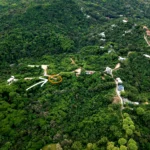 Manuel Antonio Estates 22 - Image 4