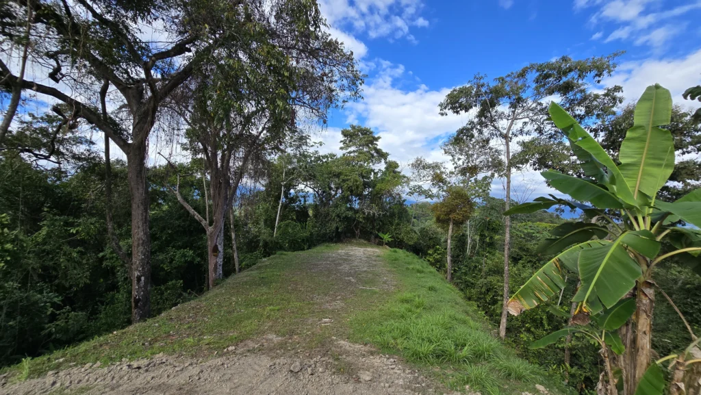 Manuel Antonio Estates 77 - Image 4