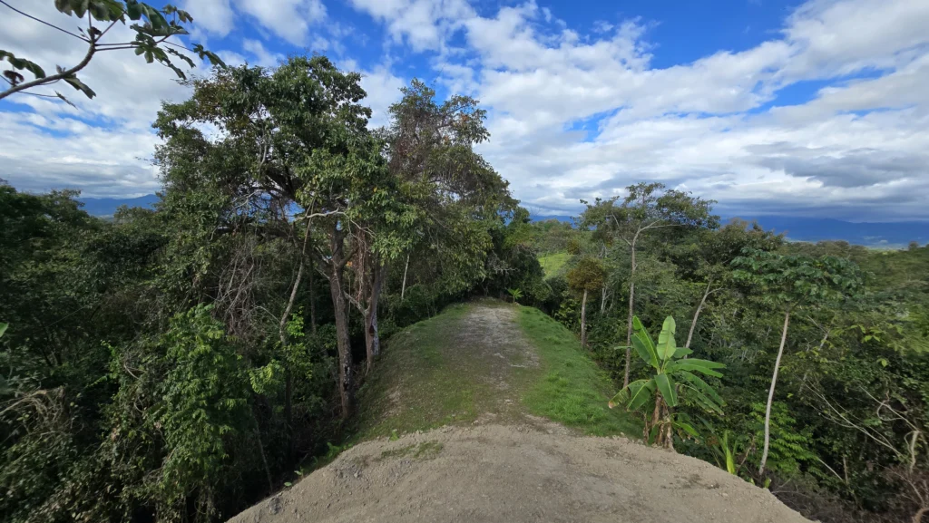 Manuel Antonio Estates 77 - Image 5