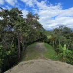 Manuel Antonio Estates 77 - Image 5