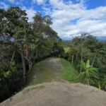 Manuel Antonio Estates 77 - Image 6