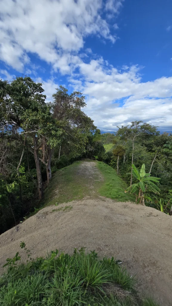 Manuel Antonio Estates 77 - Image 6