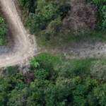 Manuel Antonio Estates 77 - Image 8